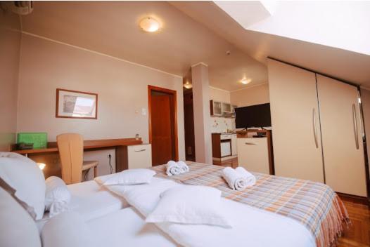 Car Royal Apartments And Rooms Novi Sad Exterior photo